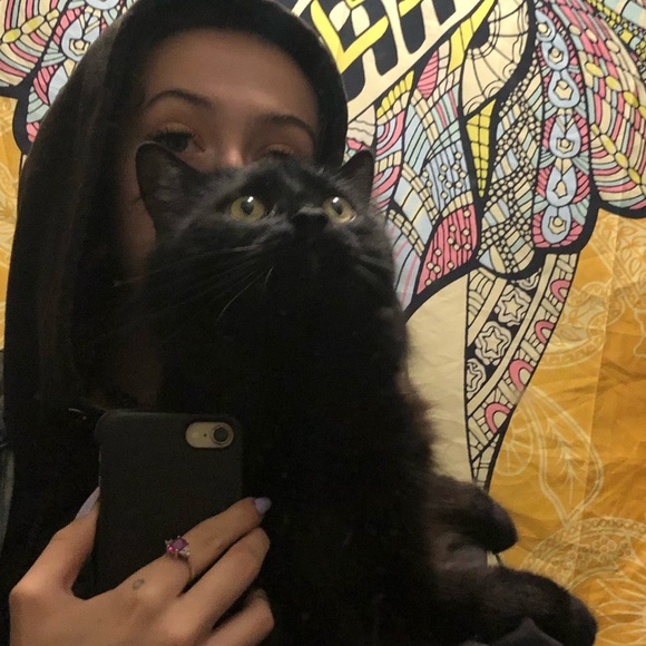 Meet your Posher, Kathrine - Picture 2 of 3